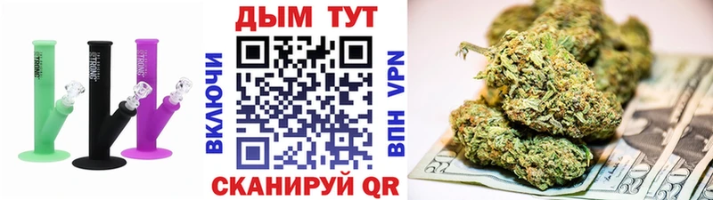 Бошки Шишки гибрид  Слюдянка 